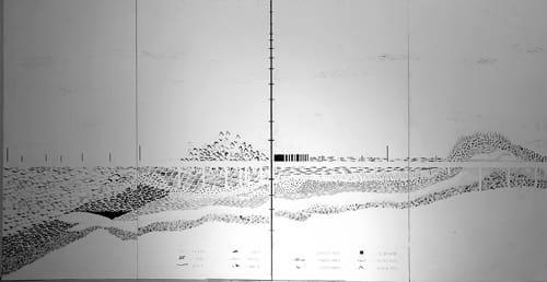 רלי דה-פריס - רישום פרט מתוך "חתך רוחב בזמן עומק - בין הים התיכון לחוטם הכרמל"