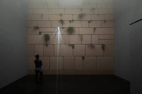 אלונה רודה - "מעל ומעבר", מראה הצבה המרכז לאמנות עכשווית (CCA), תל אביב צילום: אלעד שריג