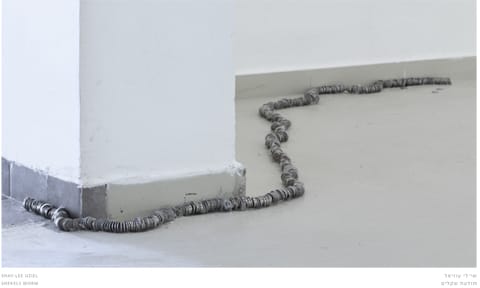 שי-לי עוזיאל - תולעת שקלים. מתוך התערוכה "אנחת רווחה" במוזיאון בית אורי ורמי נחושתן. אוצרת: נטלי לוין