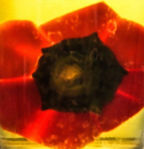 גלעד אופיר - פרח שתן, 2013