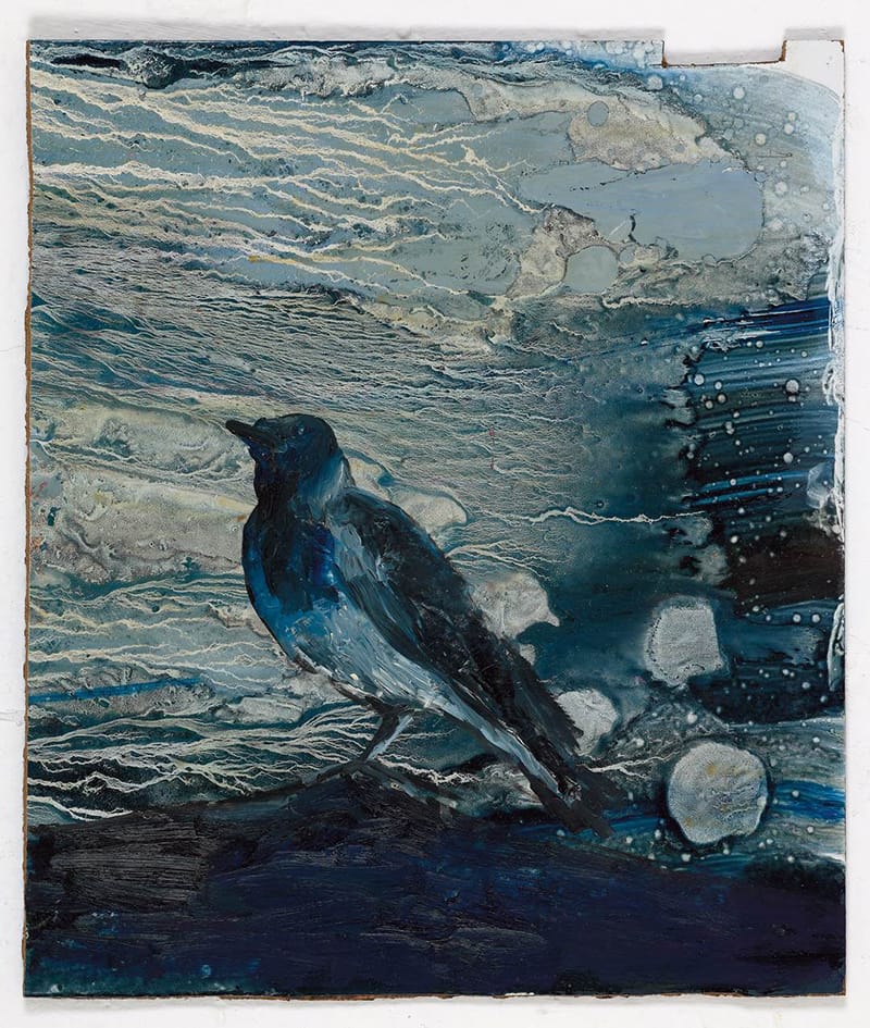 עופרי מרום, "עורב כחול". שמן על מזוניט, 38x33 ס"מ. 2012