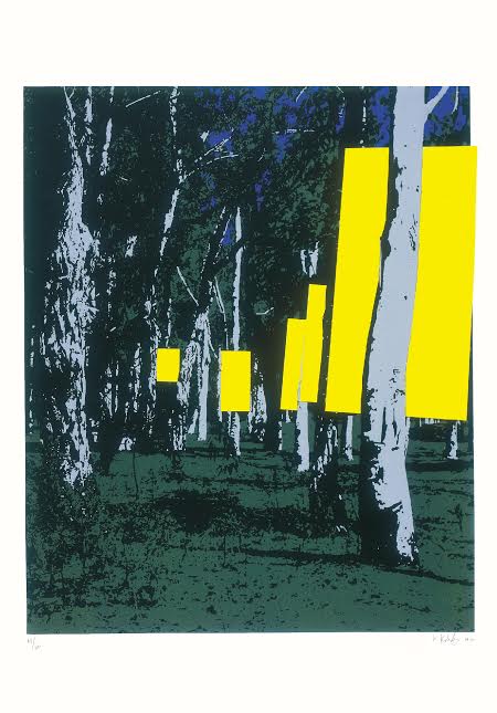 מנשה קדישמן - יער צהוב iii, 1970. הדפס רשת. צילום: אברהם חי